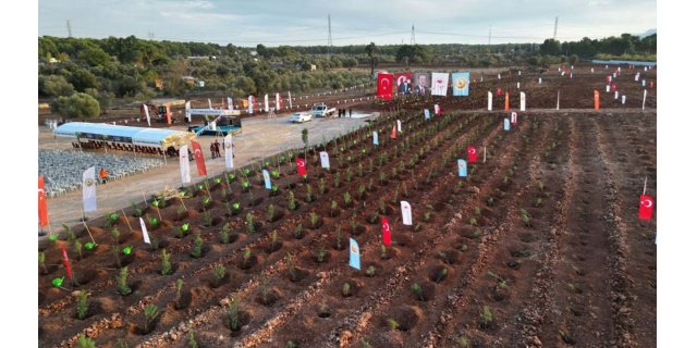 Antalya'da Fidan Seferberliği: Döşemealtı Yeşil Vatan'la Buluşuyor