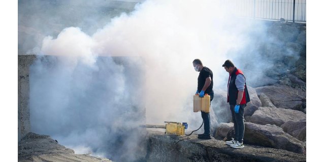 Giresun'da Haşere Alarmı: Sahil ve Dereler İlaçlanıyor!